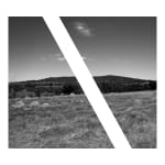 James Tylor, Tapa-arra Through the Landscape 5, 2024