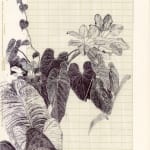 Neva Hosking, A Glimpse Of The Greenhouse At Chris And Ardens, Cairns, 2024