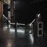 Aidan Hartshorn, 'They' series, 2022