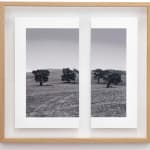 James Tylor, Tapa-arra Through the Landscape 7, 2024