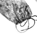 Kyra Mancktelow, Gingali I, 2021