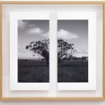 James Tylor, Tapa-arra Through the Landscape 12, 2024