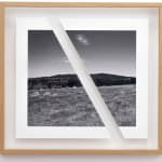 James Tylor, Tapa-arra Through the Landscape 5, 2024