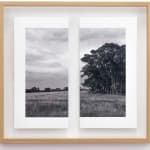 James Tylor, Tapa-arra Through the Landscape 11, 2024