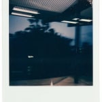 Miriam Charlie, Getting to Borroloola, 2025