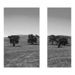 James Tylor, Tapa-arra Through the Landscape 7, 2024