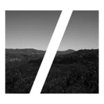 James Tylor, Tapa-arra Through the Landscape 5, 2024