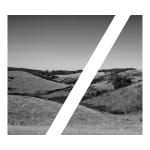 James Tylor, Tapa-arra Through the Landscape 8, 2024