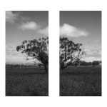 James Tylor, Tapa-arra Through the Landscape 12, 2024