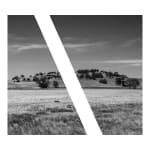 James Tylor, Tapa-arra Through the Landscape 5, 2024