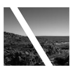 James Tylor, Tapa-arra Through the Landscape 14, 2024