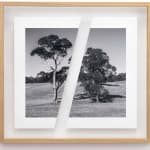 James Tylor, Tapa-arra Through the Landscape 5, 2024