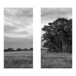 James Tylor, Tapa-arra Through the Landscape 11, 2024