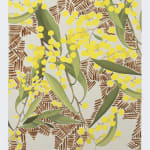 Dylan Mooney, Acacia Arbiana – Wattle, 2022