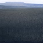 Anne Kaferle, Sift