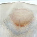 Anne Kaferle, Sift
