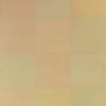 Richard Berman, Canarsie Series A-4