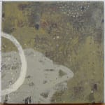 Kevin Tolman, Seed Time Unfolding II
