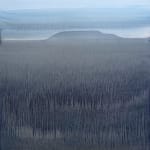 Anne Kaferle, Sift