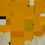 Kevin Tolman, Seed Time Unfolding II