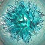 Annalù, Fiore celestiale, 2023