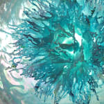 Annalù, Fiore celestiale, 2023