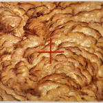 Piers Greville, Signal failure, 2025