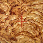 Piers Greville, Signal failure, 2025