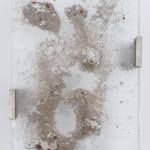 Christopher Benton, PERFECT DRY CLEANERS ON 2B ST, 2019