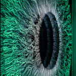 NagyMolnar, Space Net 1, 2021