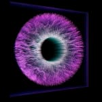 NagyMolnar, Space Net 1, 2021