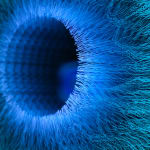 NagyMolnar, Space Net 1, 2021