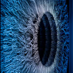 NagyMolnar, Space Net 1, 2021