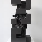 Javier Pelaez, Retrato Negro 4, 2011