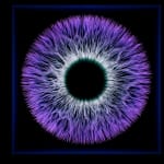 NagyMolnar, Space Net 1, 2021