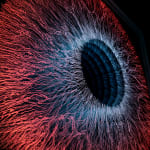 NagyMolnar, Space Net 1, 2021