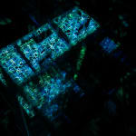 NagyMolnar, Space Net 1, 2021