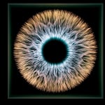 NagyMolnar, Space Net 1, 2021