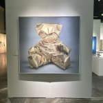 Javier Pelaez, Retrato Negro 4, 2011