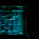 NagyMolnar, Space Net 1, 2021