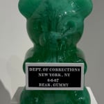 WhIsBe, WASA - WhIsBe Aeronautics and Space Administration, 2025