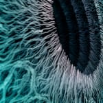 NagyMolnar, Space Net 1, 2021