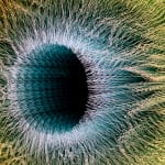 NagyMolnar, Space Net 1, 2021