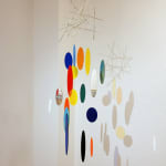 Didier MENCOBONI, Sans titre - 19, 2008