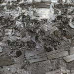 Philippe COGNÉE, Sans titre (Vanité), 2009