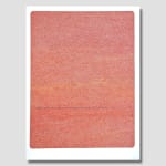 Didier MENCOBONI, Sans titre - 19, 2008