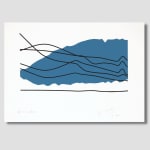 Olivier PETITEAU, La Mikron 7, 2009