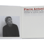 Pierre ANTONIUCCI, Sans titre D, 2008