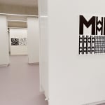 Vera MOLNAR, Disparition, 1989