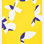 Frédéric BOUFFANDEAU, Papillons 2, 2021